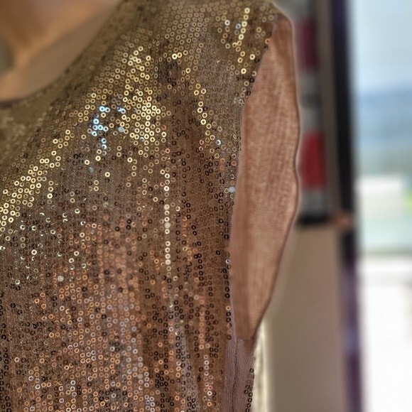 Caché Champagne/Nude Sequins Boat Neck Blouse Size Small - Picture 4 of 7